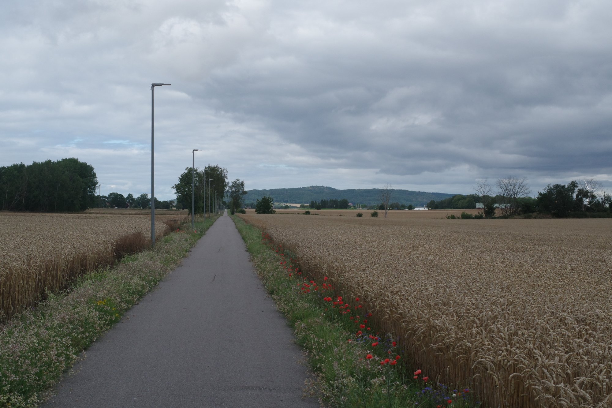 IMGP9316.JPG