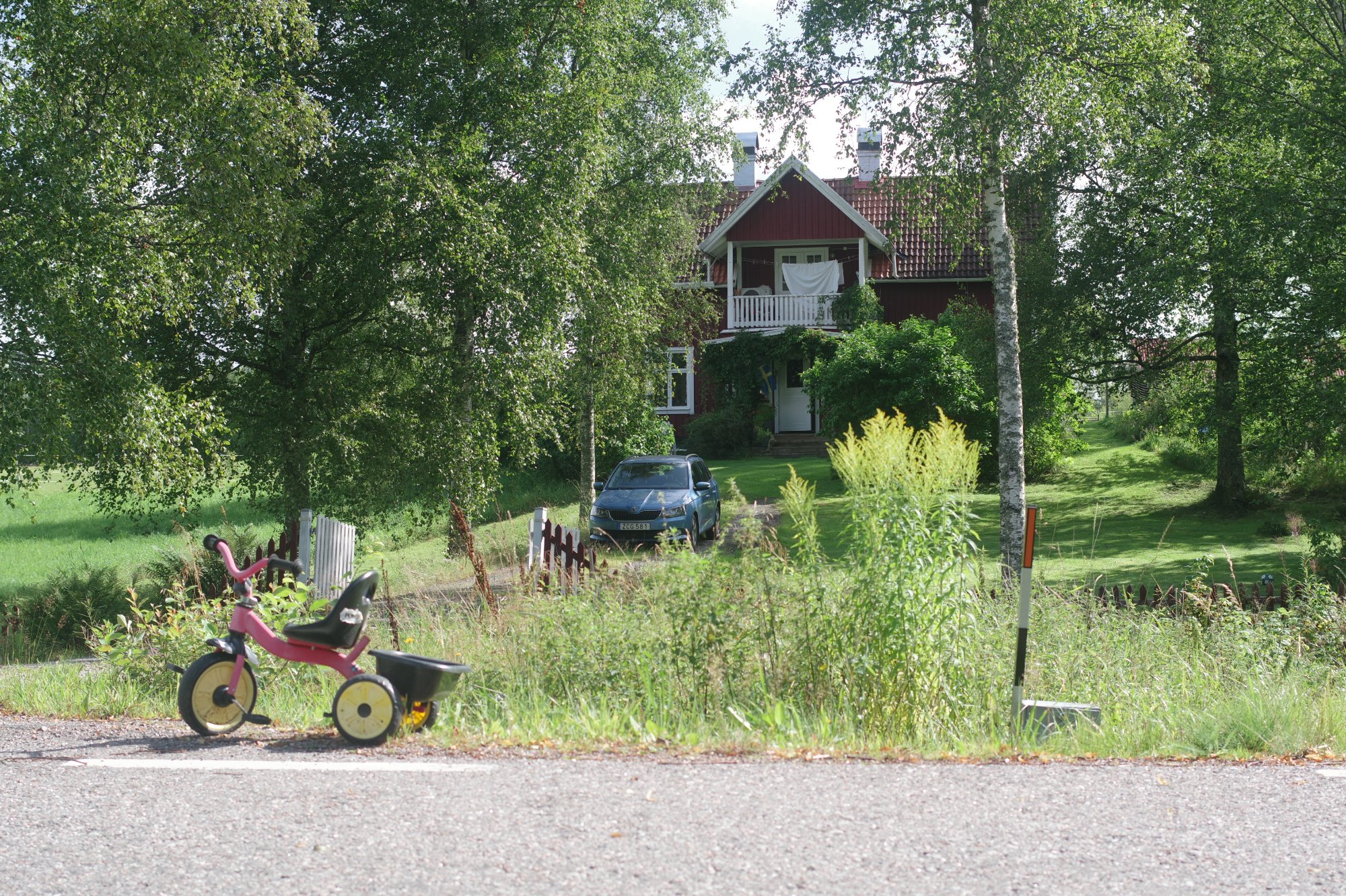 IMGP9394.JPG