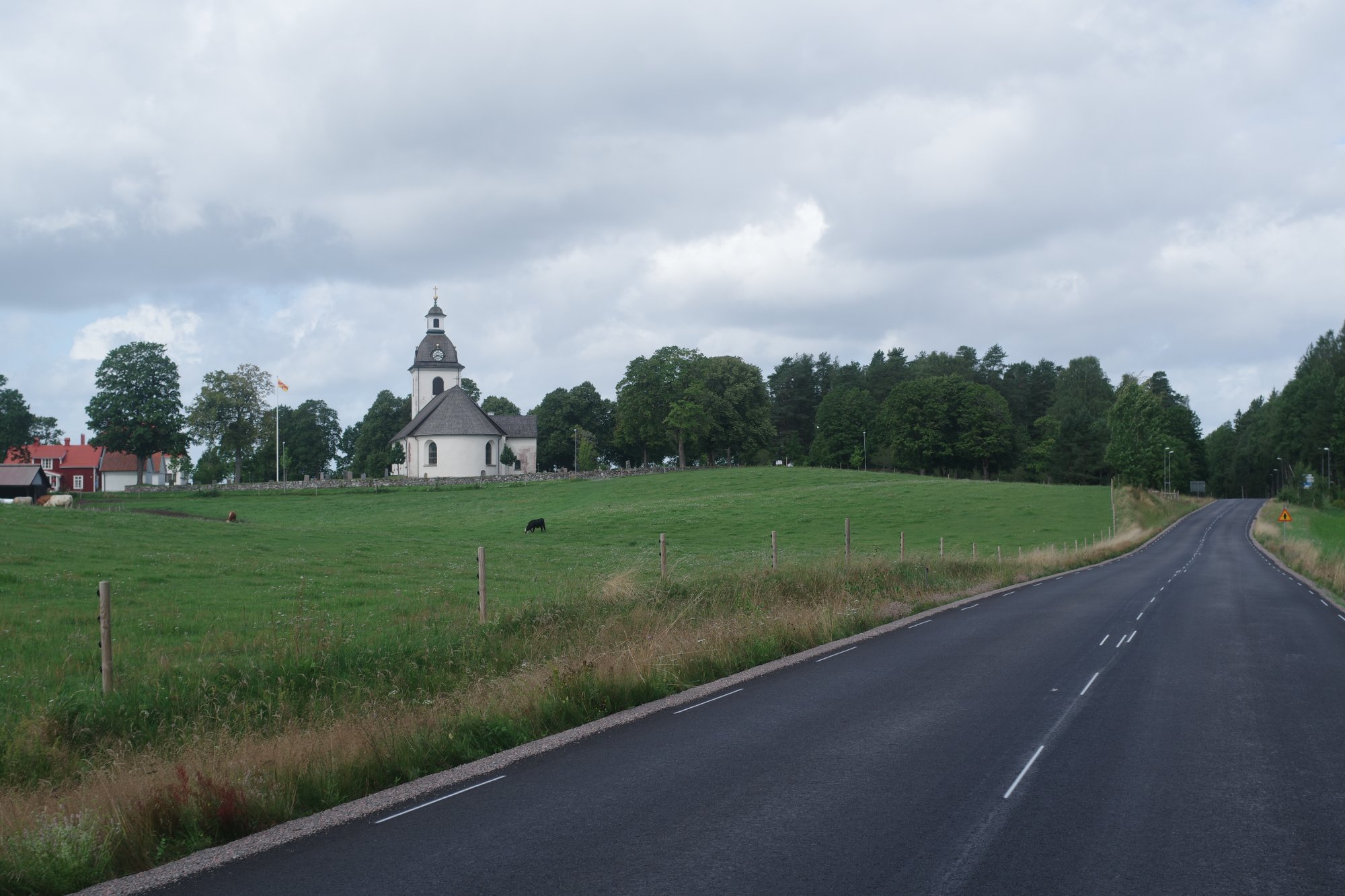 IMGP9398.JPG