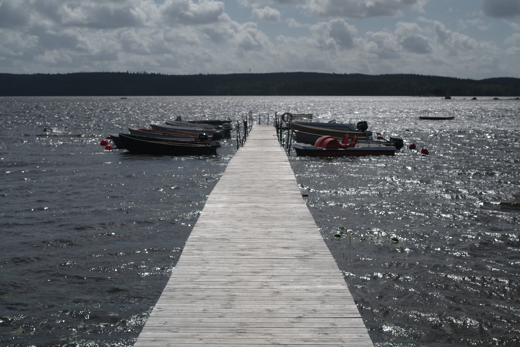IMGP9401.JPG
