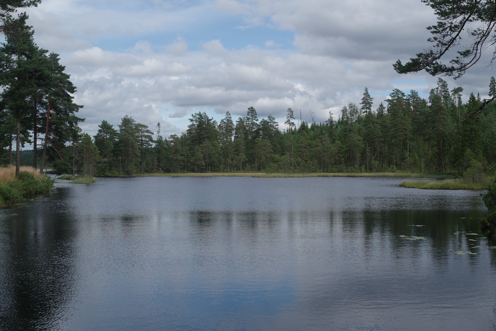 IMGP9473.JPG