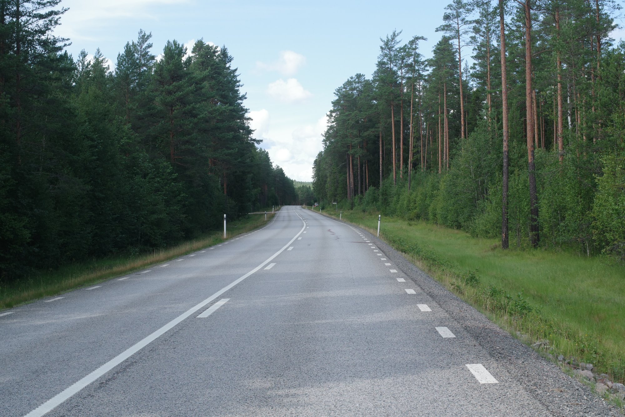 IMGP9601.JPG