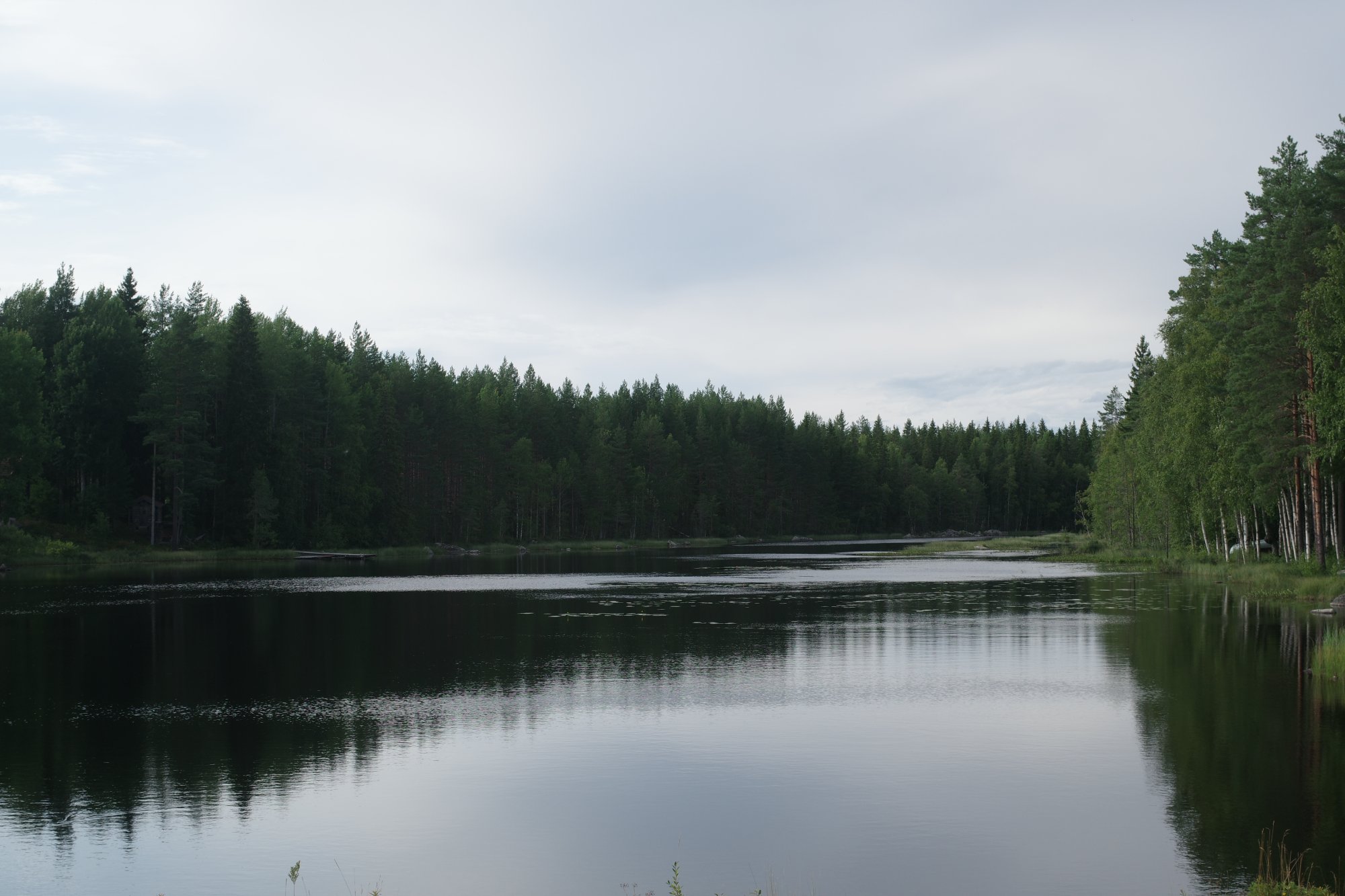 IMGP9622.JPG