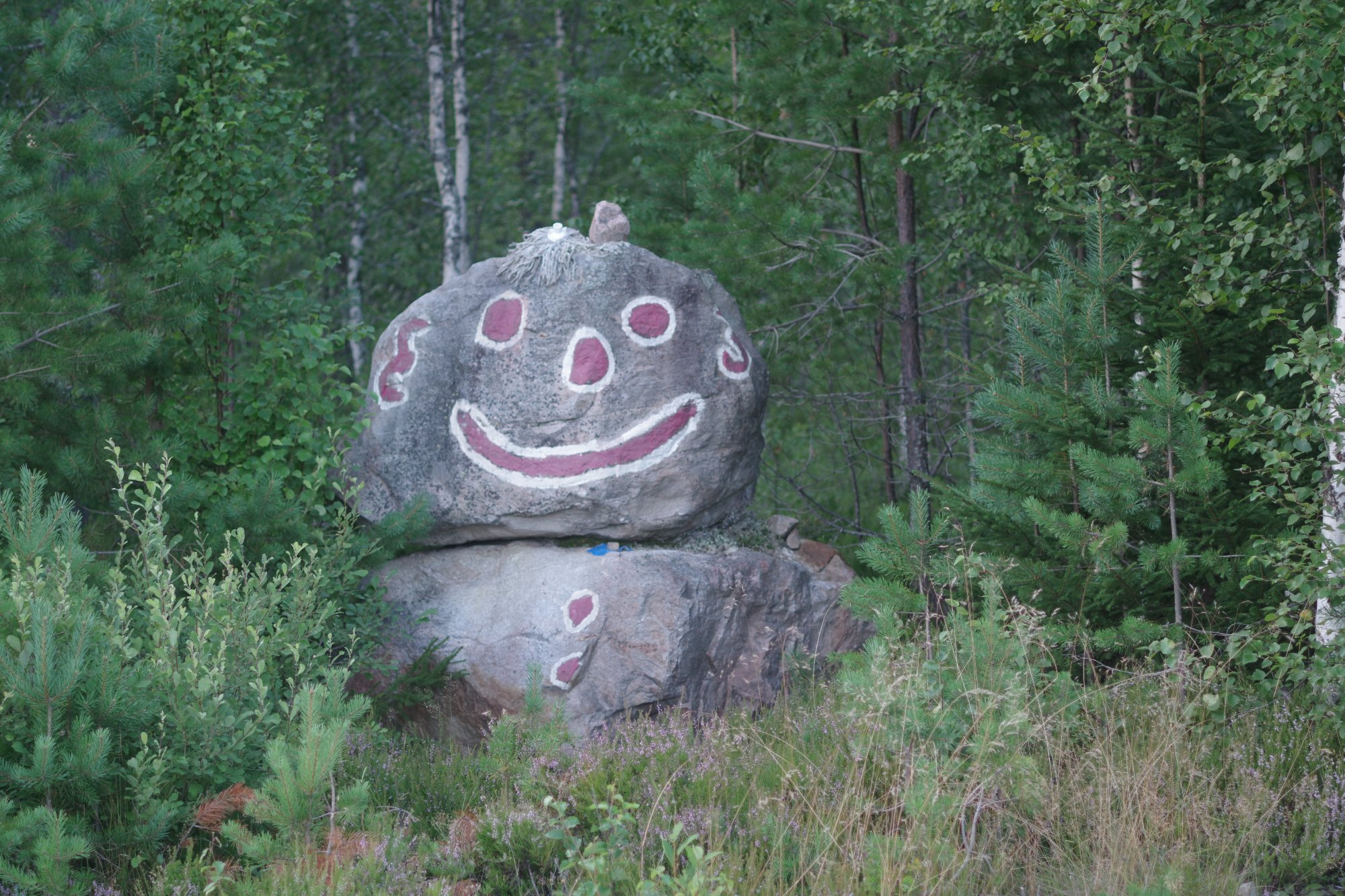 IMGP9627.JPG