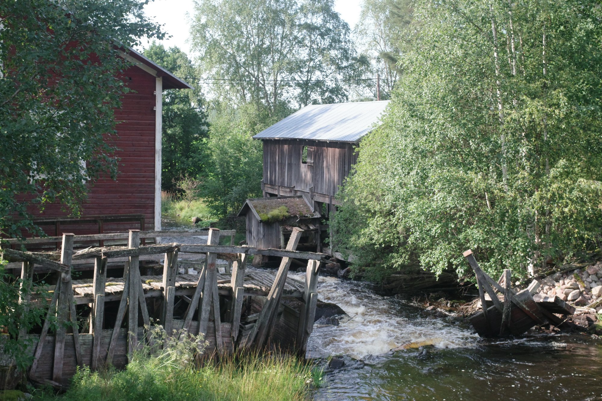 IMGP9636.JPG