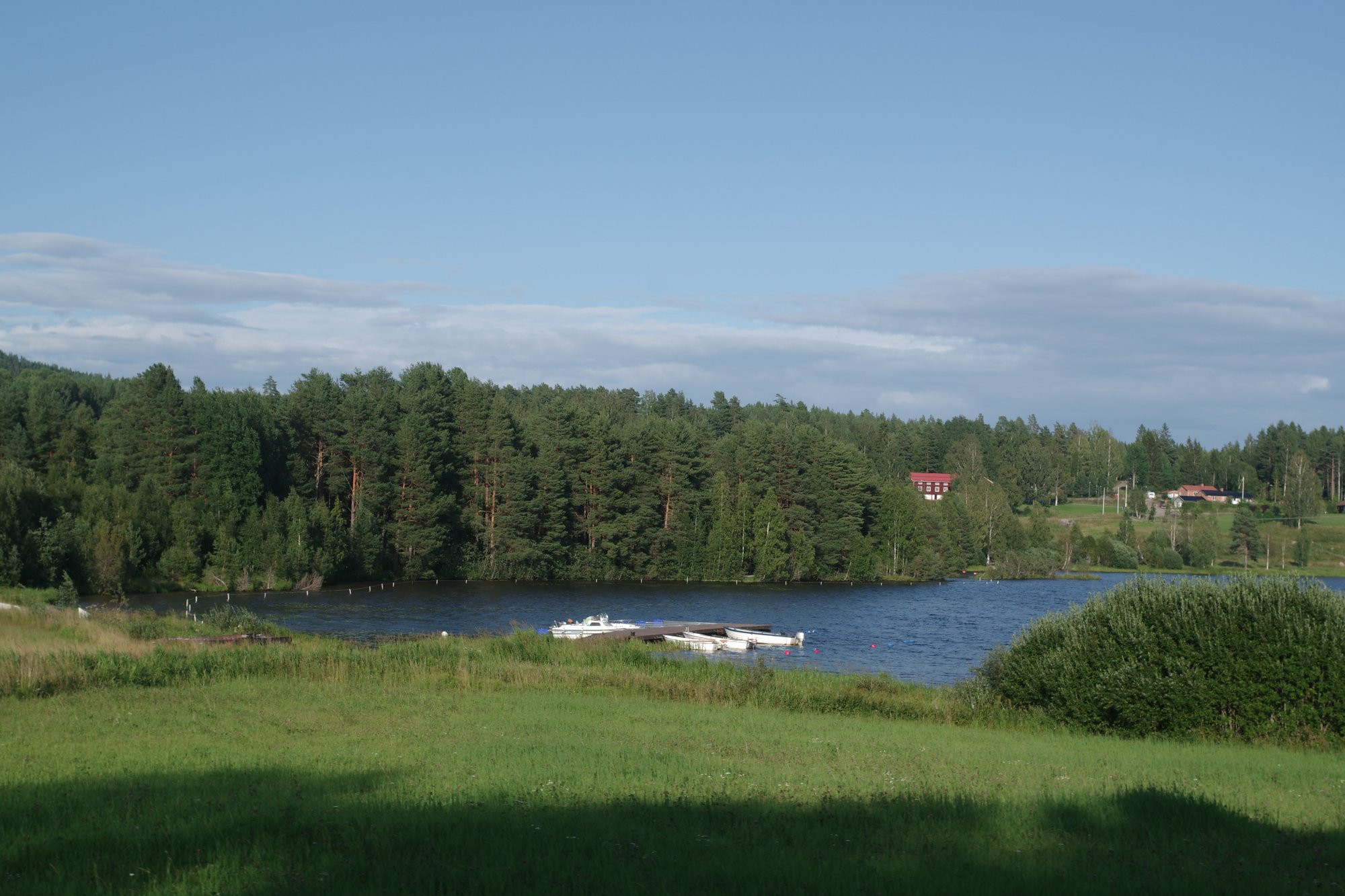 IMGP9703.JPG