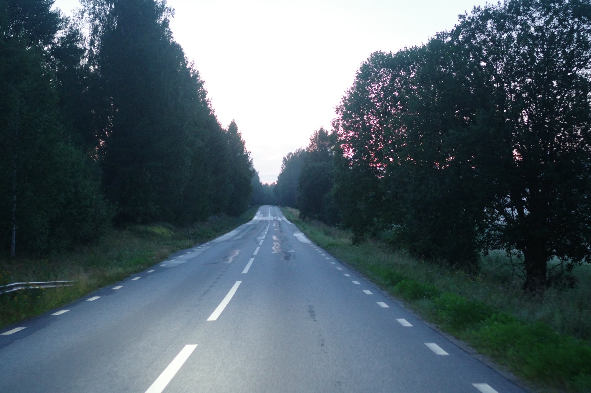 IMGP9754.JPG