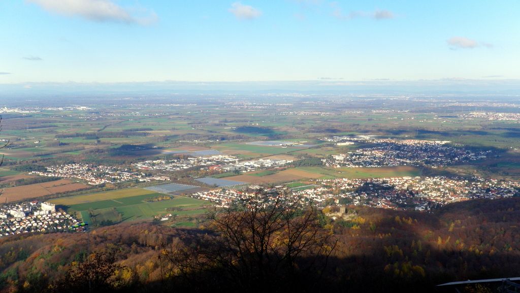 IMGP9785-001.JPG