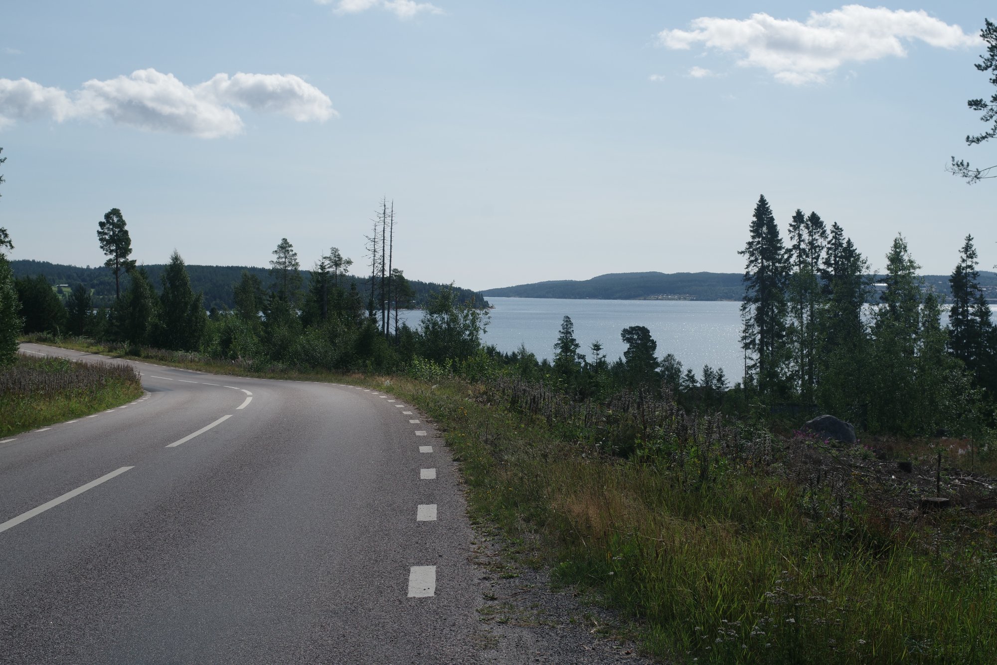 IMGP9858.JPG