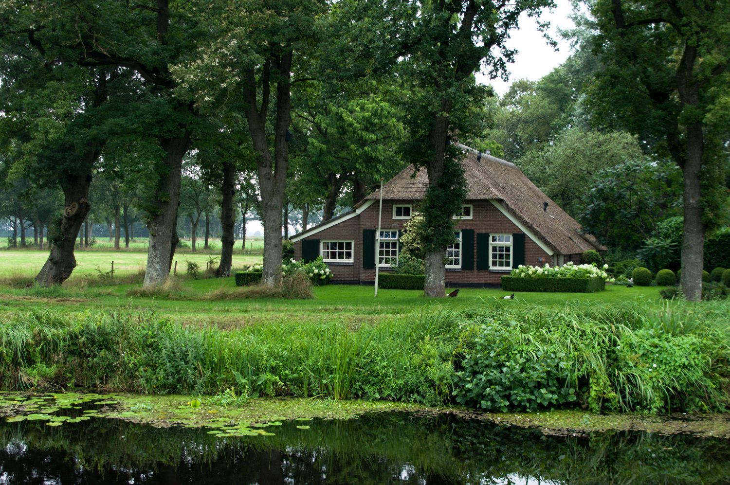 IMGP9878.jpg