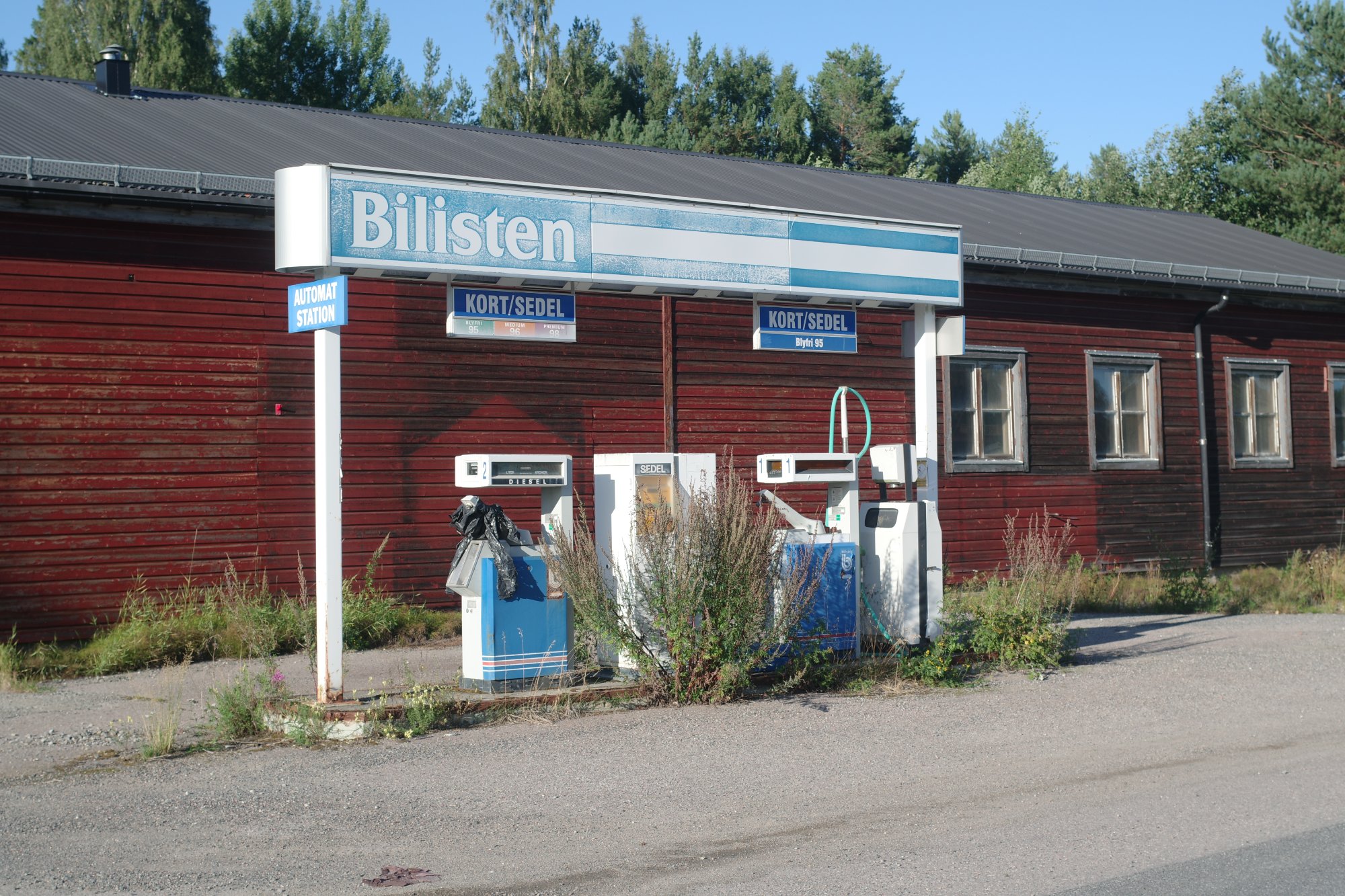 IMGP9917.JPG
