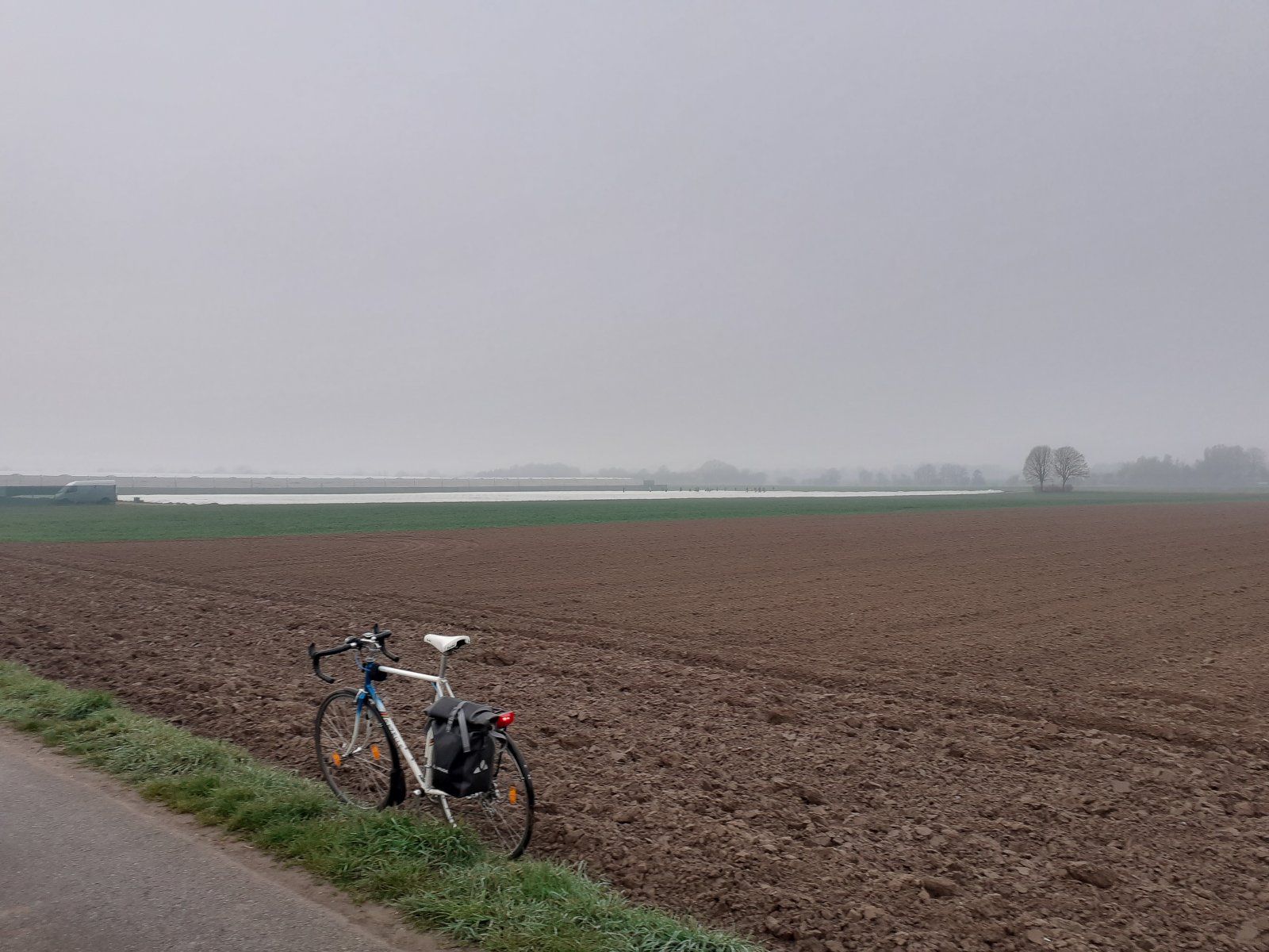 Into the dawn, near Erdbruggener Hof.jpg