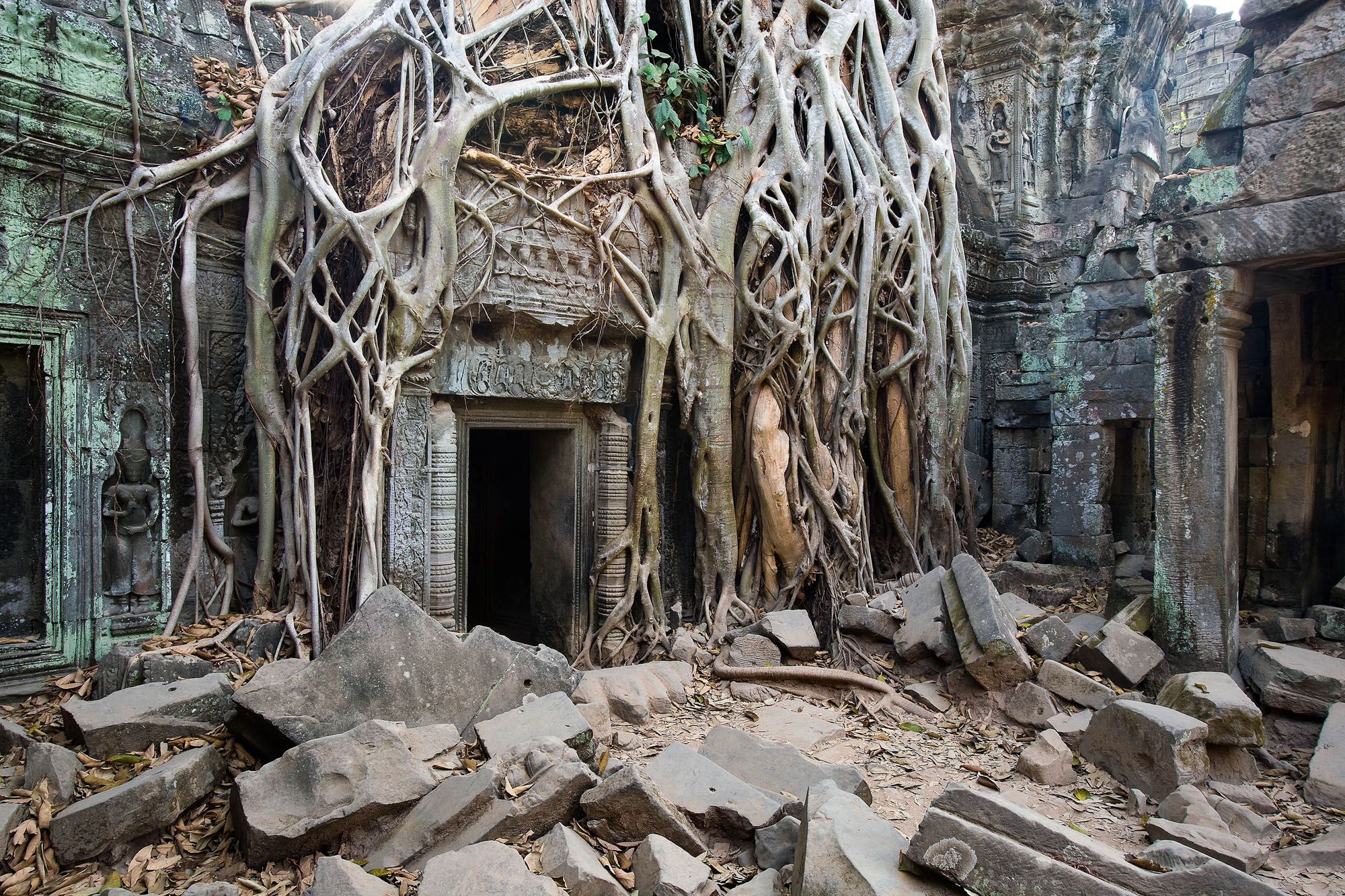 John Gollings - Ta Prohm Temple, Angkor Thom, Cambodia 2007.jpg