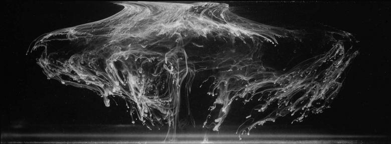 joyce campbell - marianas (1).jpg