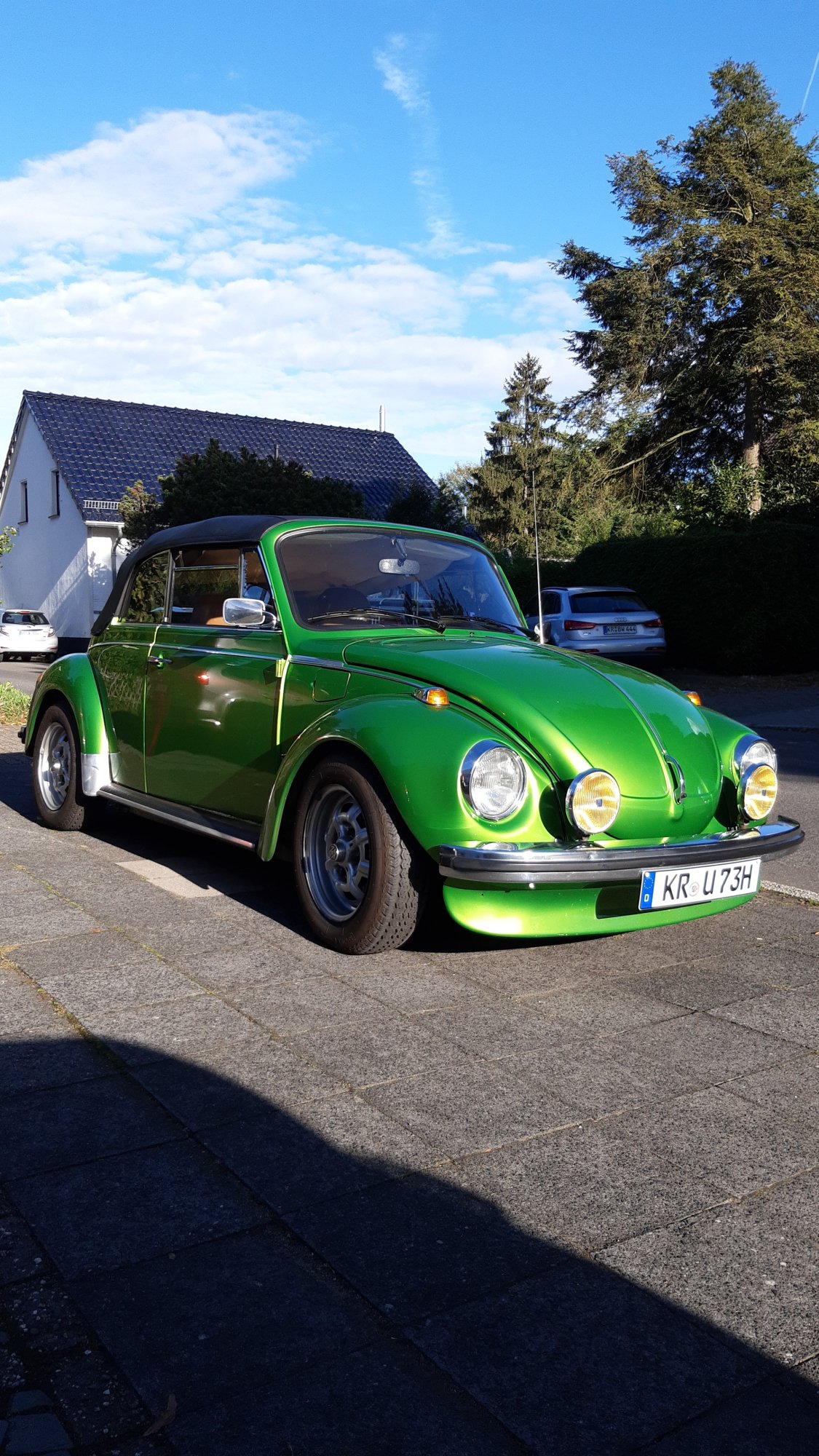 Käfer 3.jpeg