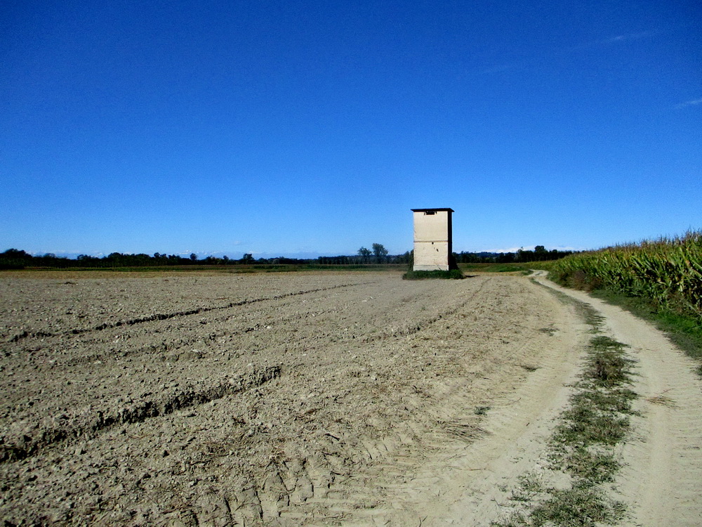 k 02.JPG