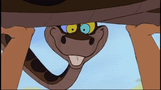 kaa-1.gif