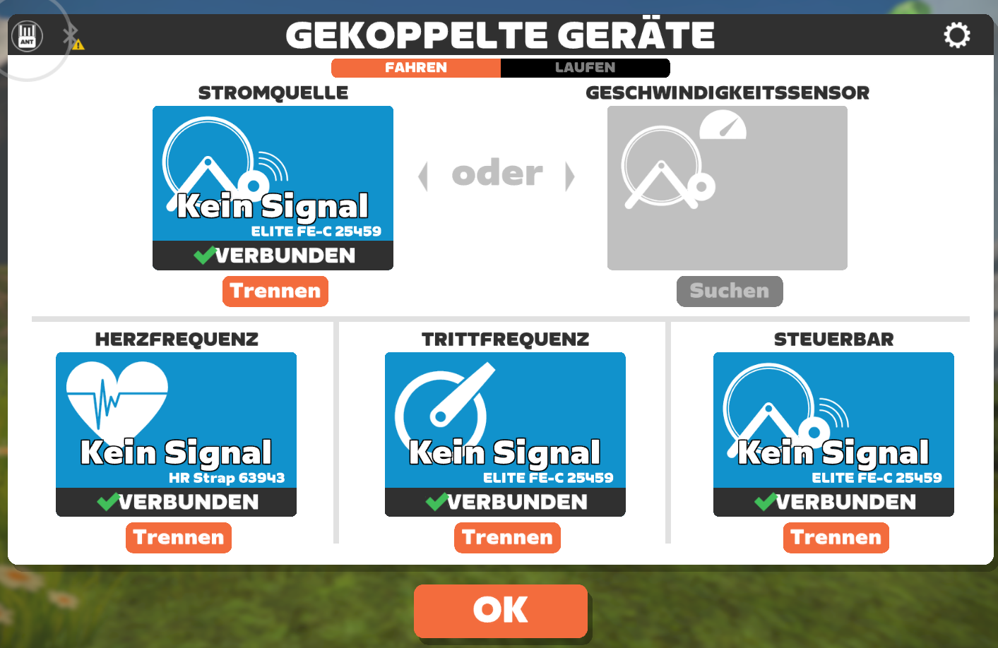 kein Signal.PNG