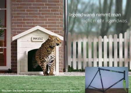 Keine_Kompromisse.jpg