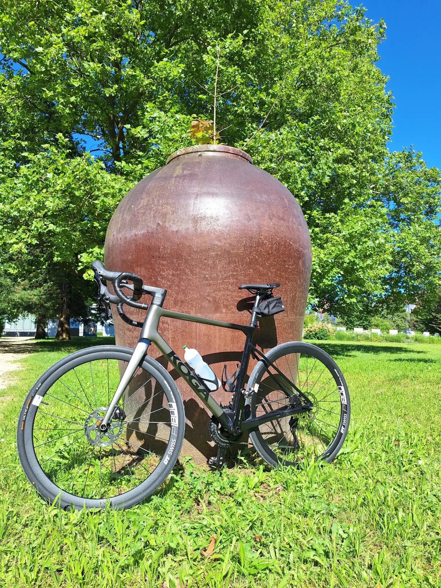 Koga Roqa Prestige.jpg