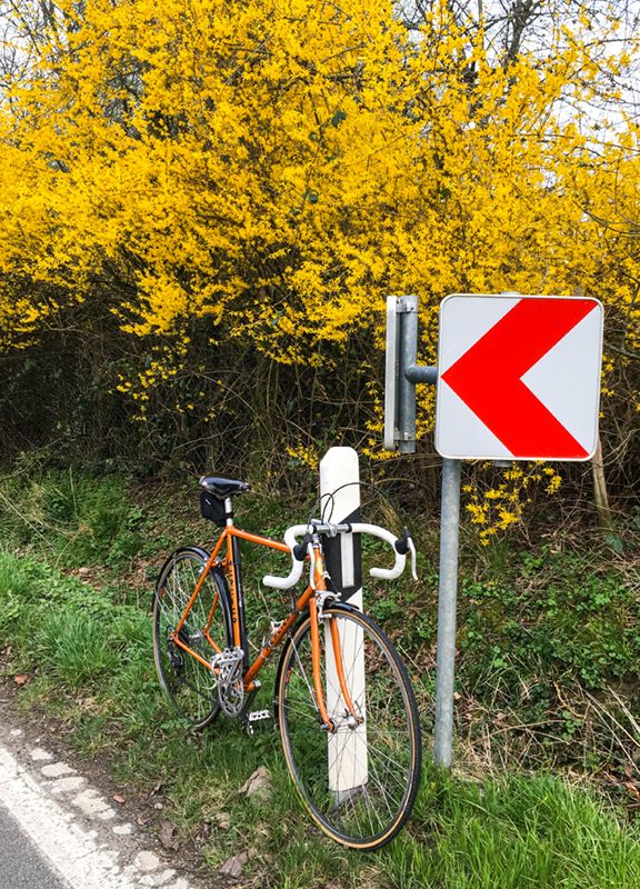 Kurbeln Wiegetritt.jpg