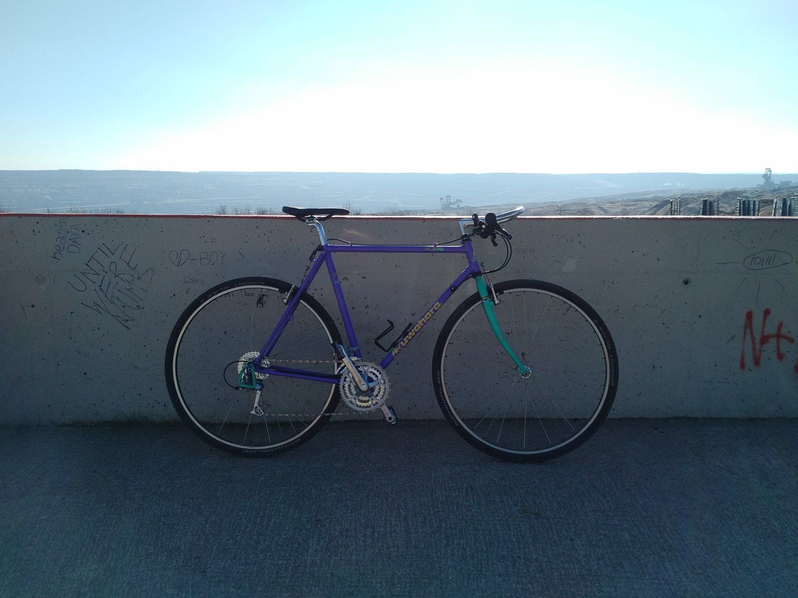 Kuwahara Version inverse Hörnchen-IMG_20210228_1351485.jpg