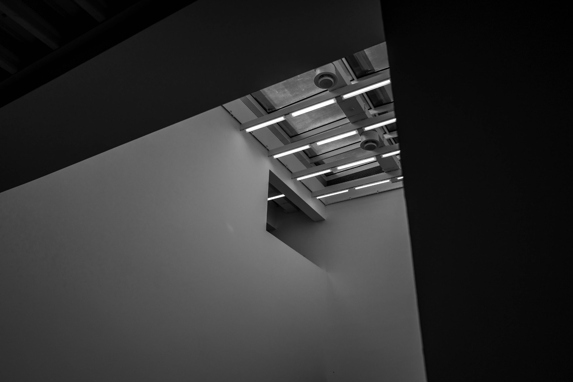 L1100666.jpg