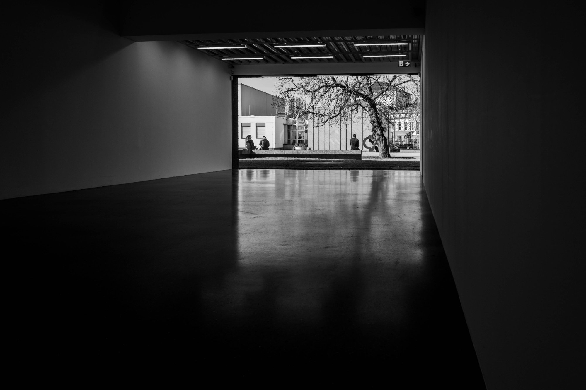 L1100688.jpg