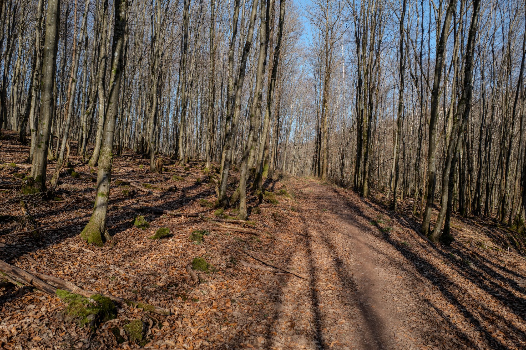 L1100766.jpg
