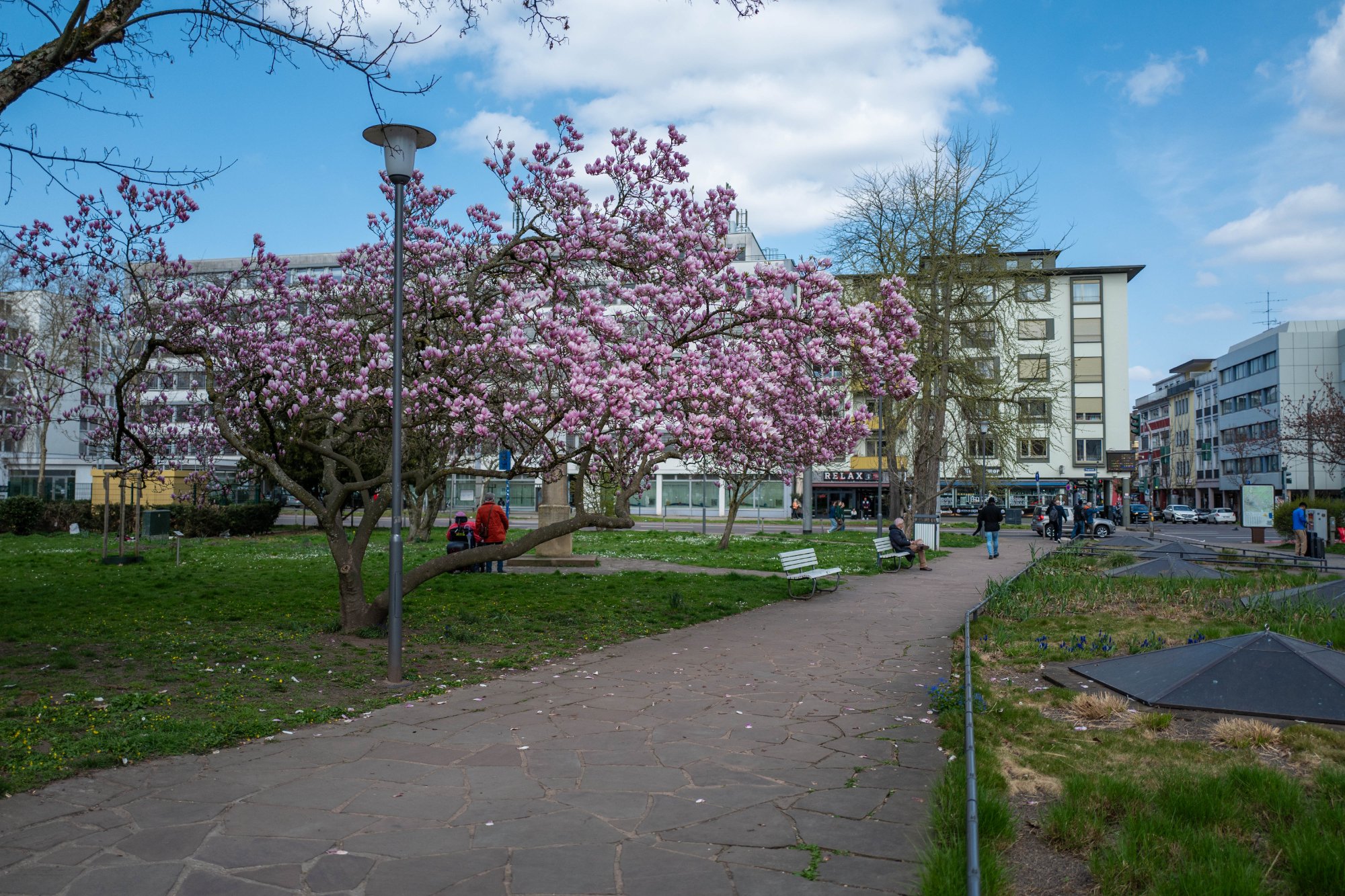 L1110415.jpg