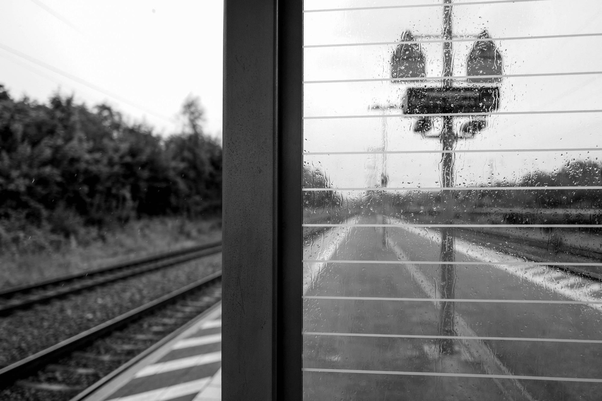 L1120744.jpg