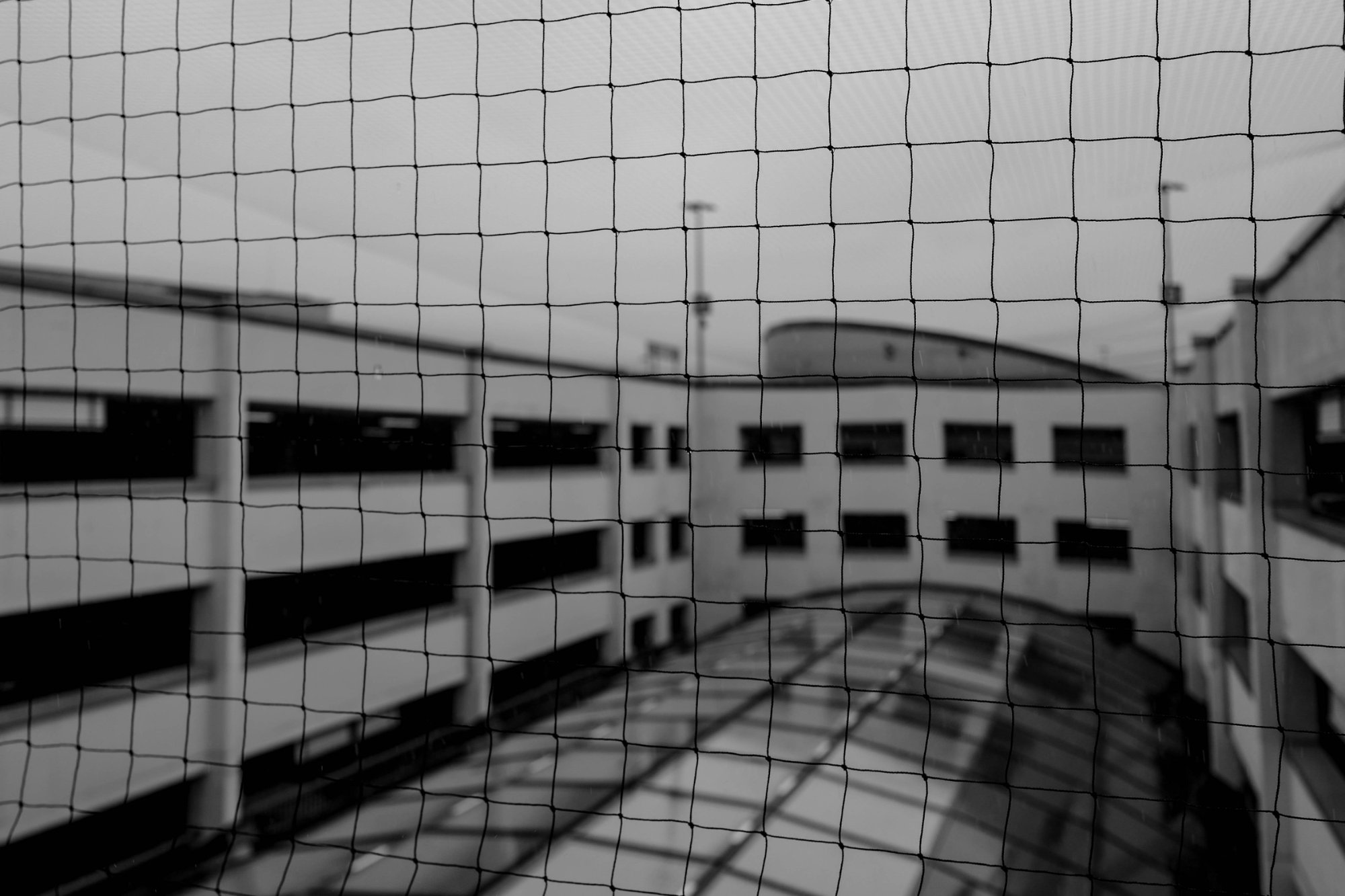 L1120750.jpg