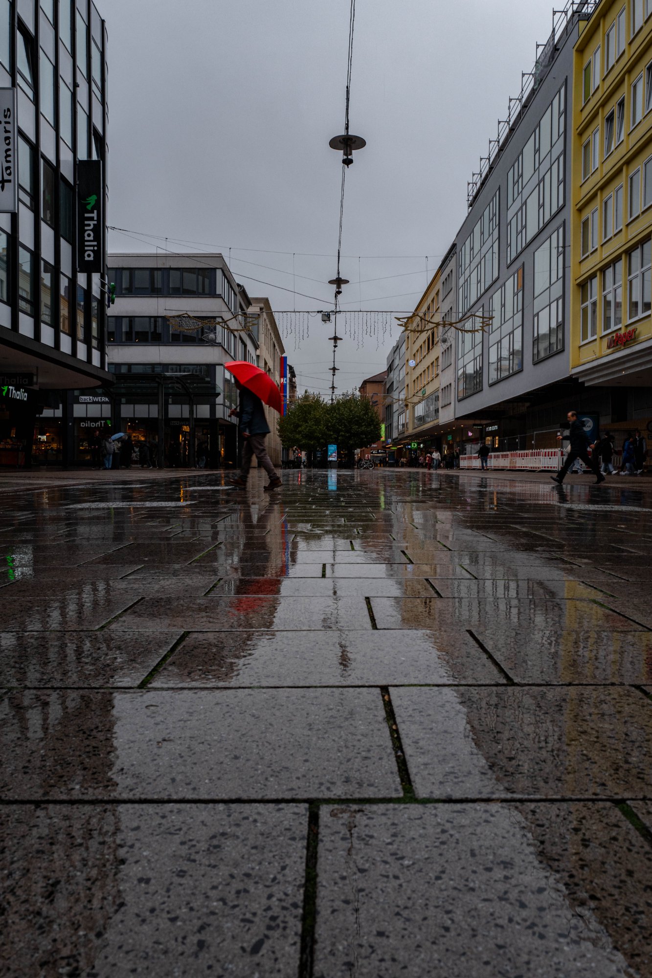 L1130069.jpg