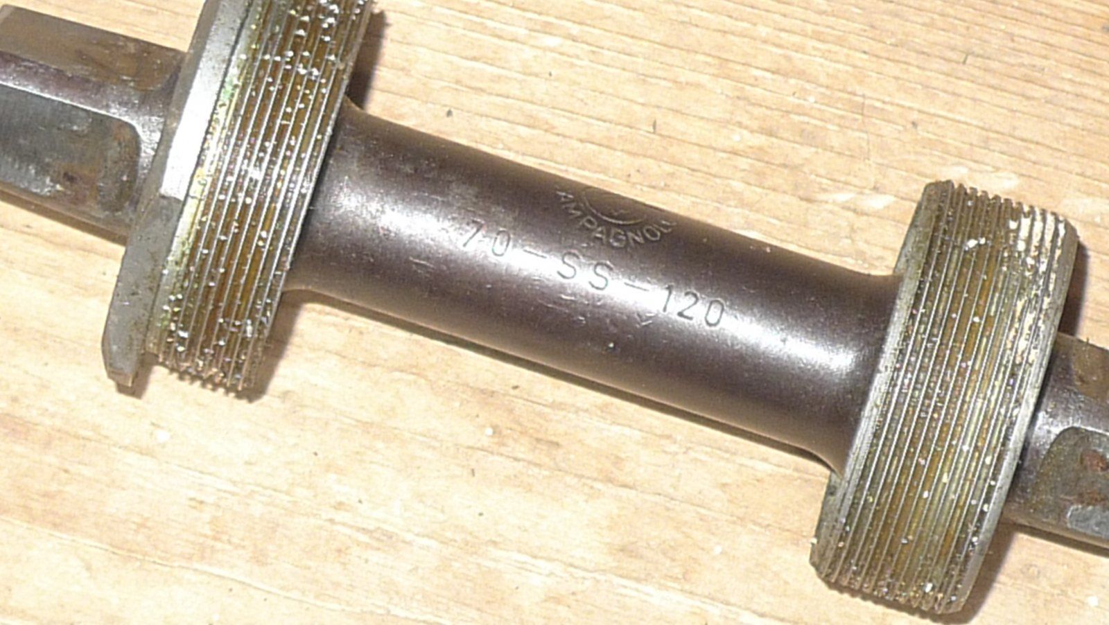 L1140558.JPG