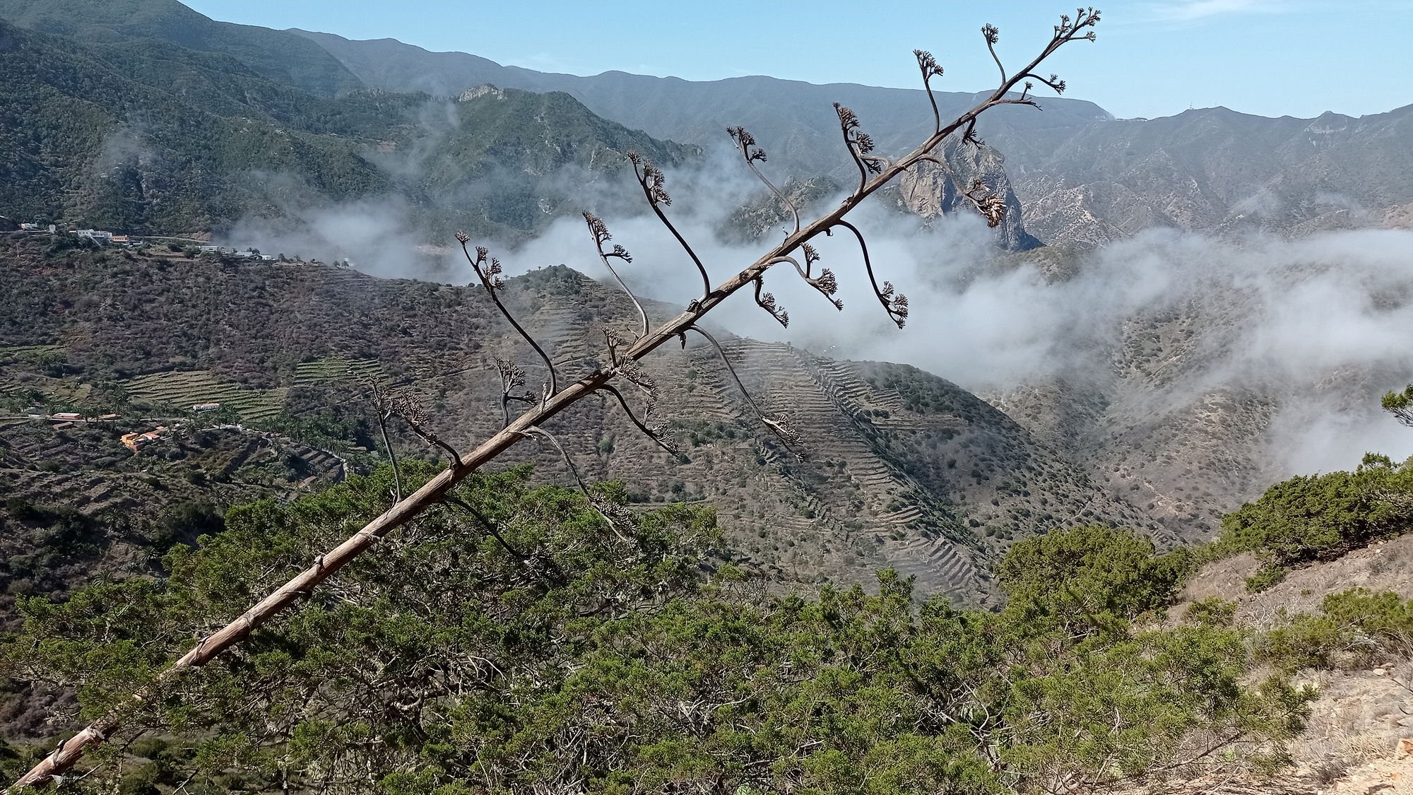 La_Gomera_PP.jpg