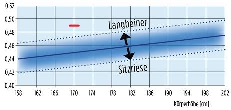 Langbeiner.jpg