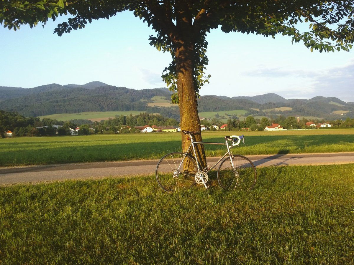 langeschatten.jpg
