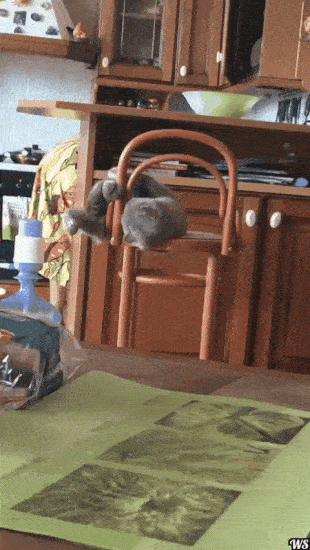 LangweileDich.net_Bilderparade_CDLXV_80.gif