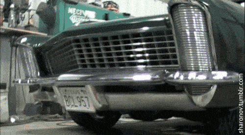LangweileDich.net_Bilderparade_CDXCVI_10.gif