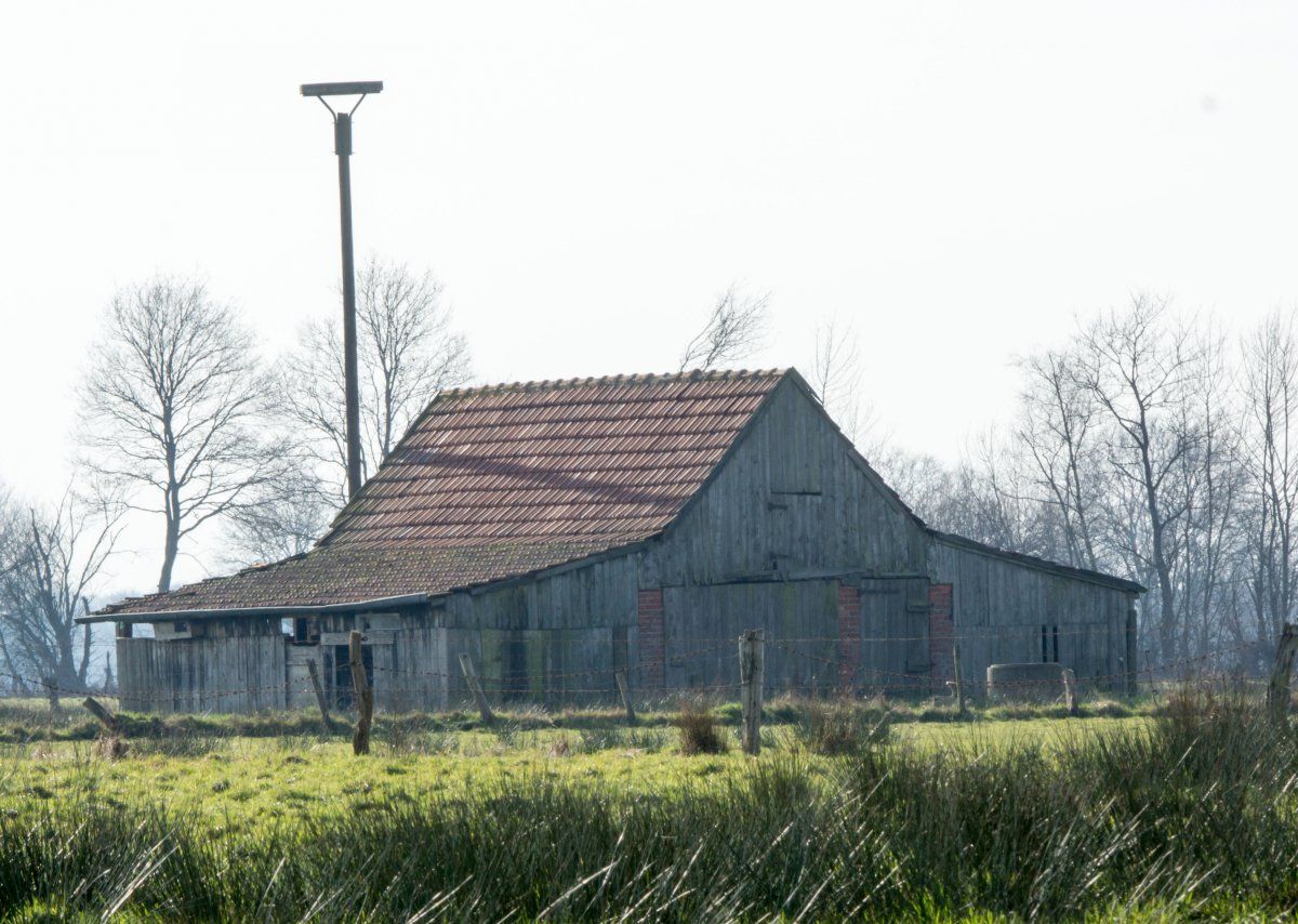 Lauf-2.jpg