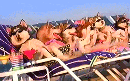 lazysquad.gif
