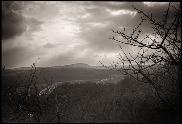 Lemberg.klein pos.jpg