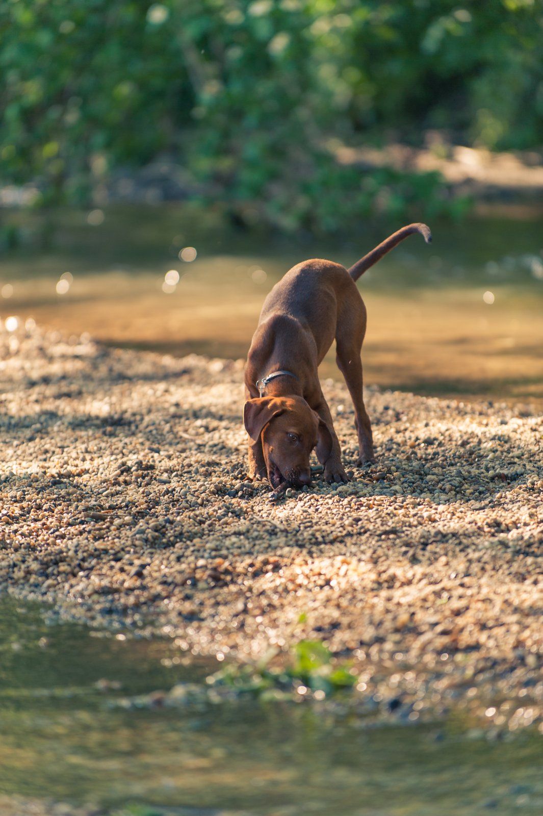 Leni Skulpturenpark 18.5.15-22.JPG