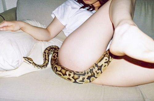 Let the serpent sleep, Yoshikazu Aizawa.jpg