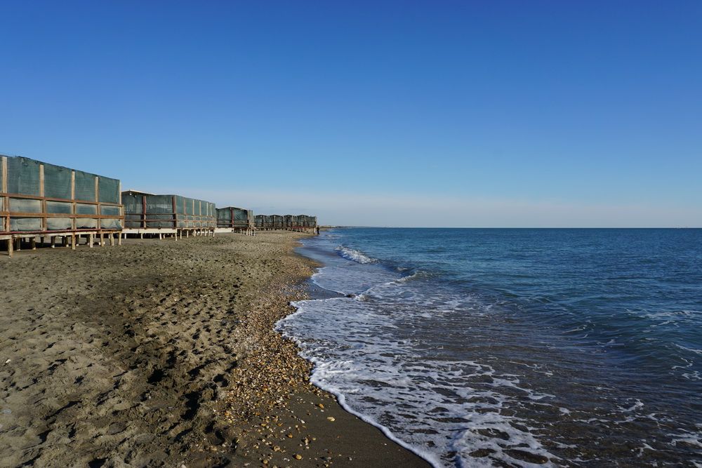 Lido di Castel Fusano 02.JPG