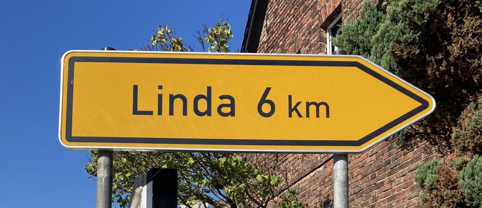 Linda.jpg