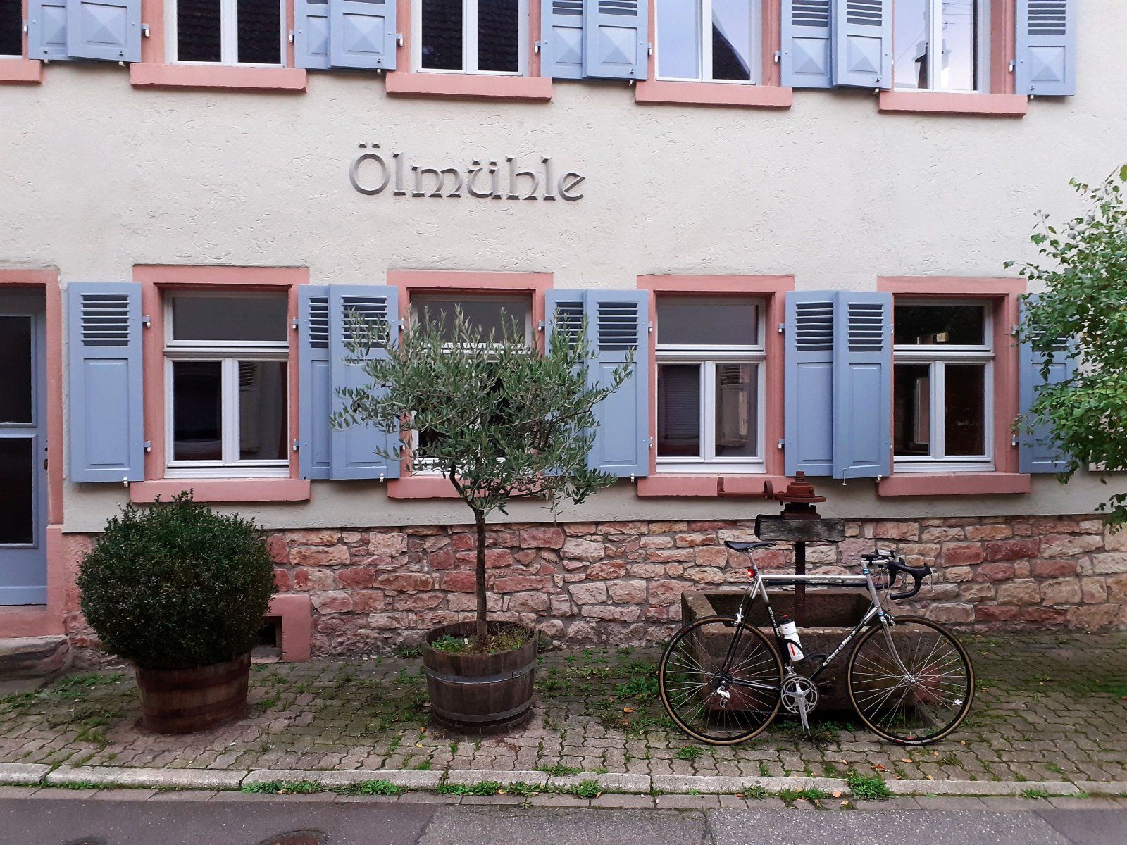 mühle5.jpg