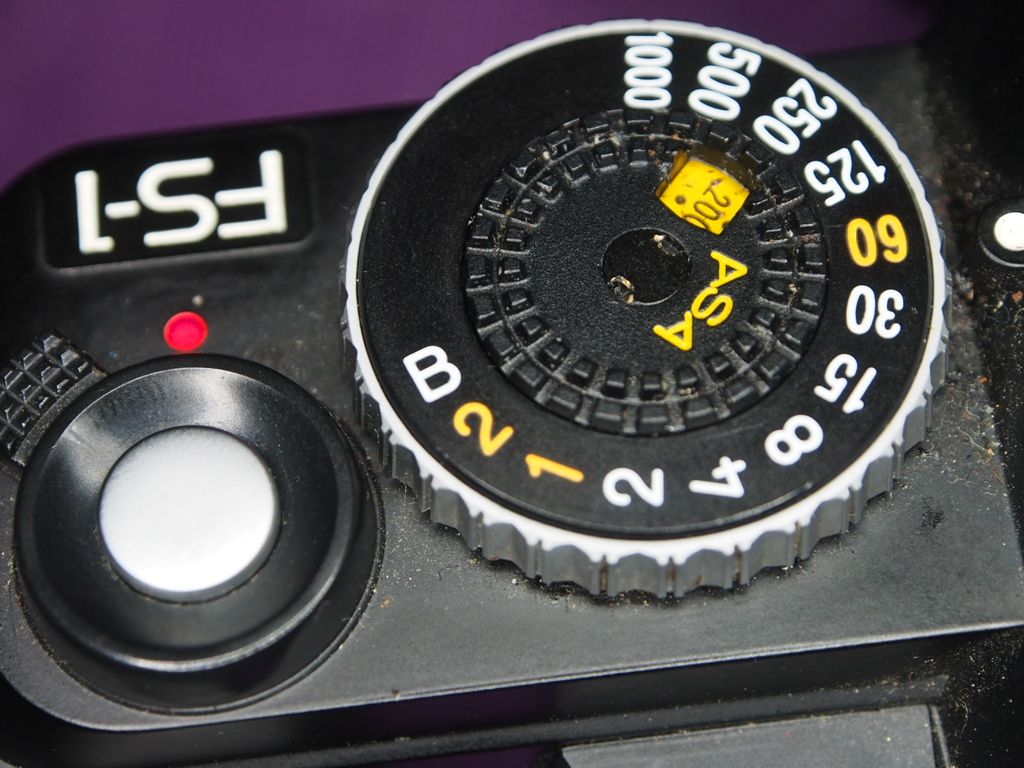 M5004616.JPG