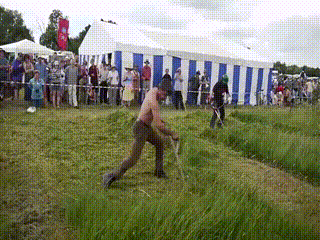 m_1295241.gif