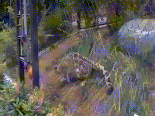 m_150556.gif